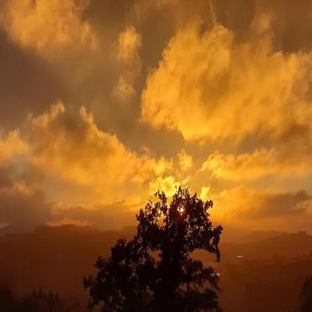 Ferienwohnung, Oberkirchen Schmallenberg