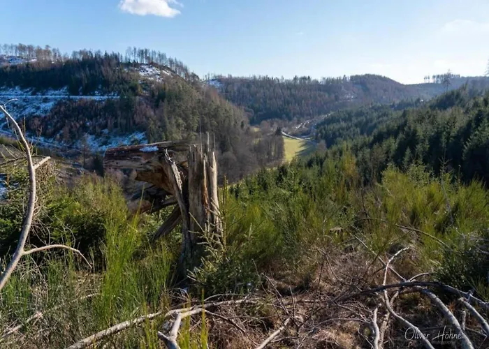 Ferienwohnung, Oberkirchen 펜션 *